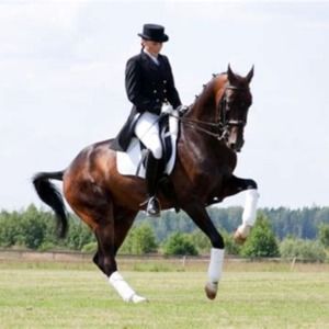 Meet your Posher, Johanna